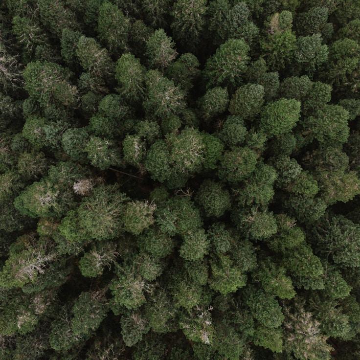 National parks landscape